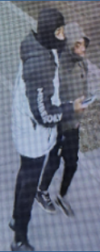 D. C. Carjacking suspect captured on camera