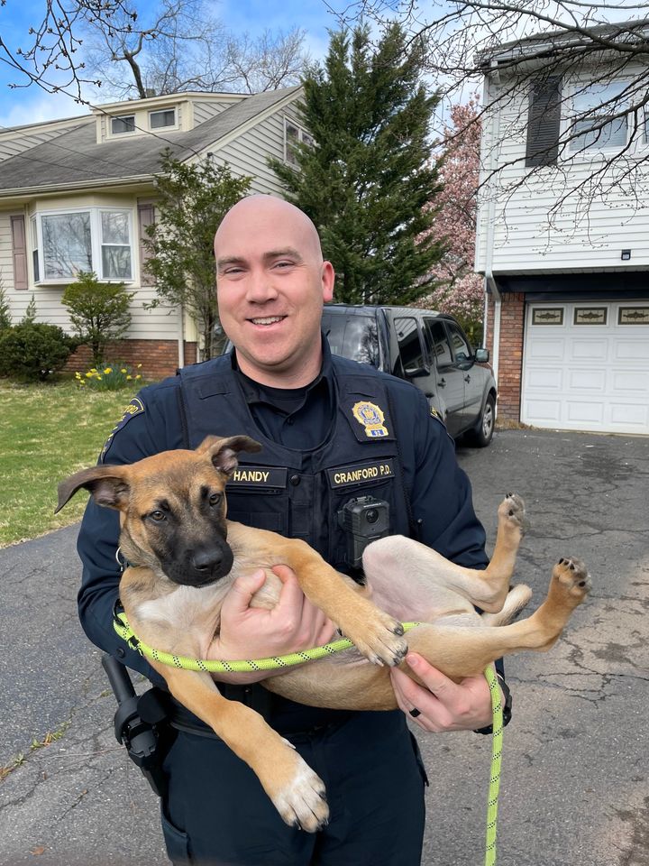 Cranford Detective Partners with Puppy Touchdown for "Woof Wednesday" Cranford Detective Partners with Puppy Touchdown for "Woof Wednesday"