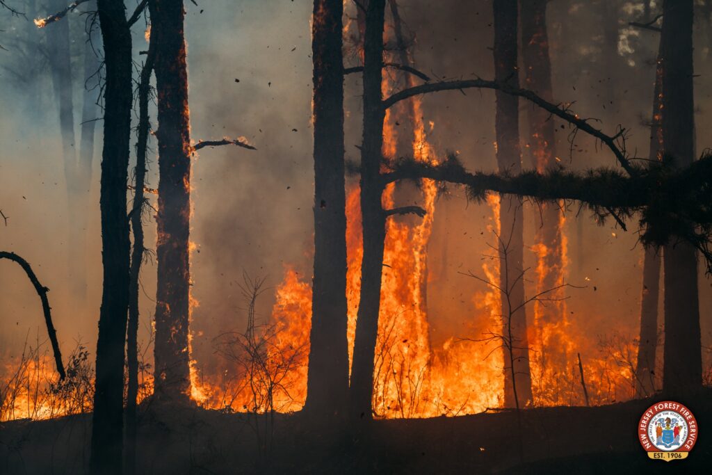 510 Acre South Jersey Forest Fire Contained, Officials Report 510 Acre South Jersey Forest Fire Contained, Officials Report