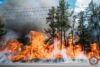 510 acre south jersey forest fire contained, officials report