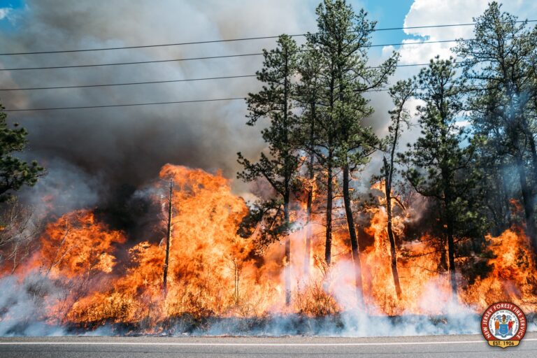 510 acre south jersey forest fire contained, officials report - photo licensed by shore news network.