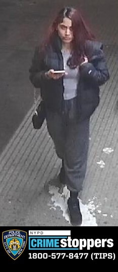Teen Robbed at Gunpoint in The Bronx, Sneakers, Jacket, Playstation, Bank Card Taken