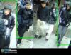 Queens man robbed by five suspects