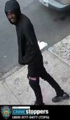 Police seek fugitive wanted in indecent exposure incident in new york city