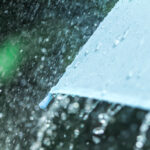 An umbrella in the rain