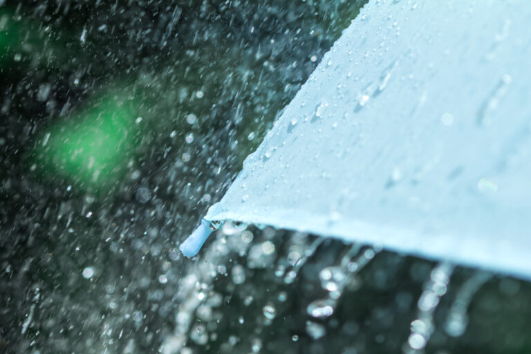 An umbrella in the rain