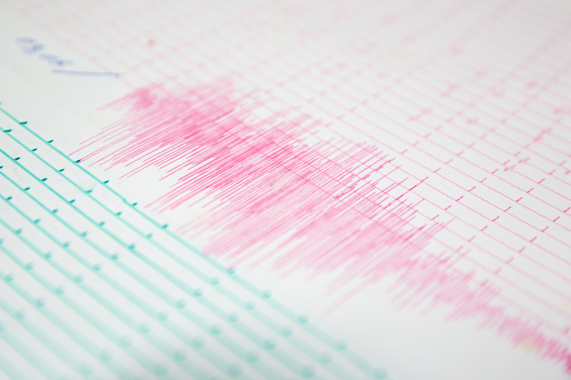 Earthquake Alert: Union City Advises Caution and Preparedness