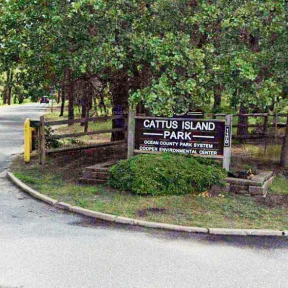 Toms river police officers' quick actions save lives of two in local parks - photo licensed by shore news network.