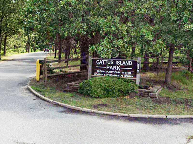 Toms River Police Officers' Quick Actions Save Lives of Two in Local Parks