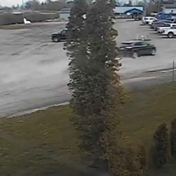 Drunk driver crashes into birthday party at boat club, killing child - photo licensed by shore news network.