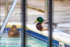 Toms river municipal pool open for residents only: season badges now available