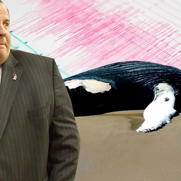 New jersey wrap-up: christie makes visit to jersey shore, another earthquake reported, another dead whale - photo licensed by shore news network.