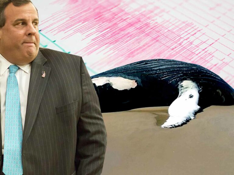 New jersey wrap-up: christie makes visit to jersey shore, another earthquake reported, another dead whale - photo licensed by shore news network.
