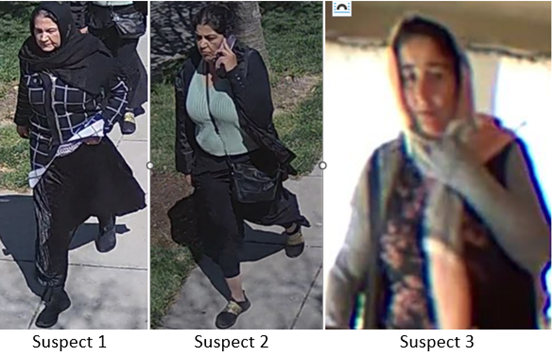 Video Released in Search for D.C. Burglary Suspects