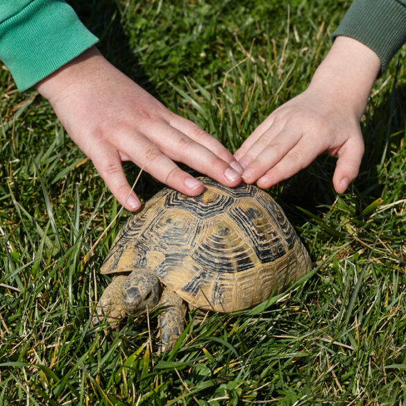 Toms river announces marine science camp for summer 2024 - photo licensed by shore news network.