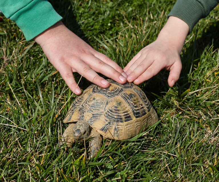 Toms river announces marine science camp for summer 2024 - photo licensed by shore news network.