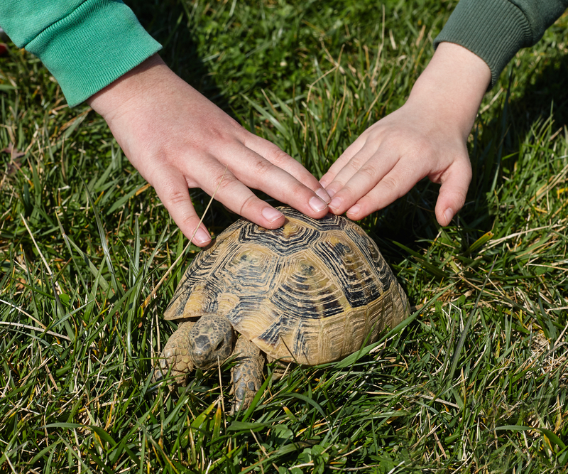 Toms River Announces Marine Science Camp for Summer 2024