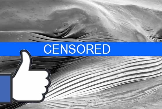 Facebook Fact Checking, Censoring New Jerseyeans Critical of Offshore Wind Energy