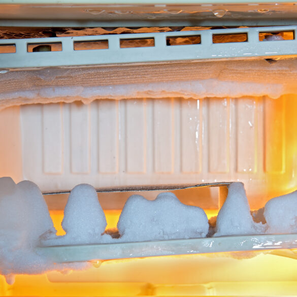 No charges to be filed after dead babies found in boston freezer - photo licensed by shore news network.