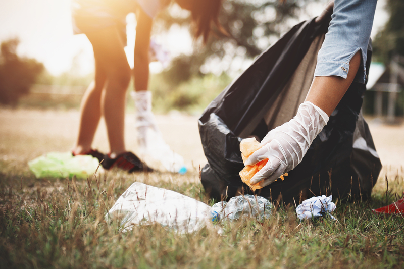Community Cleanup Planned in Brick