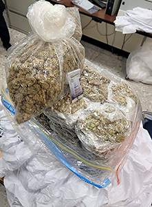 Dulles CBP Intercepts 43-Pound Marijuana Load Destined to England, MWAA Police Arrests Houston Woman