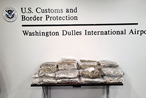 U.S. Customs and Border Protection officers seized nearly 43 pounds of marijuana in the baggage of a passenger traveling through Ireland to the United Kingdom at Washington Dulles International Airport on April 18, 2024. Metropolitan Washington Airport Authority Police charged Lakedra Hamilton, 26, of Houston, Texas, with felony possession with intent to distribute.