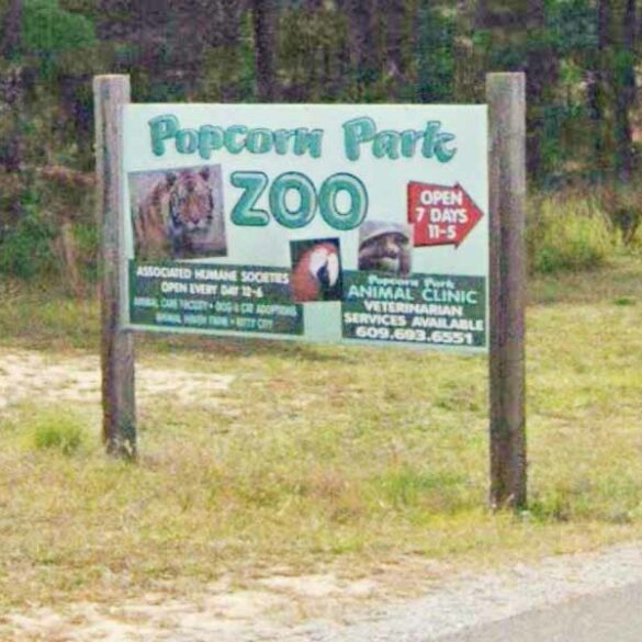 Popcorn park seeking to expand animal welfare team, announces job openings - photo licensed by shore news network.