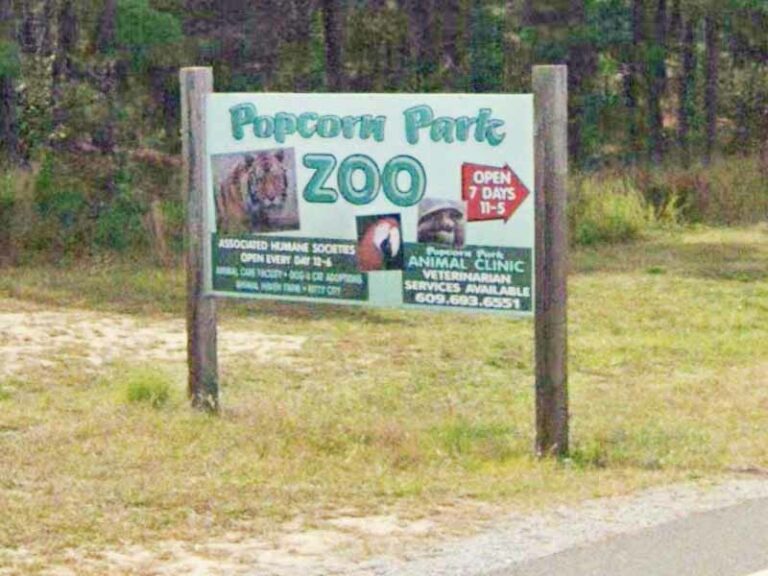 Popcorn park seeking to expand animal welfare team, announces job openings - photo licensed by shore news network.