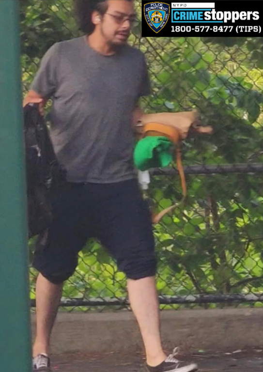 Man Assaulted and Knocked Out at New York City Playground Man Assaulted and Knocked Out at New York City Playground