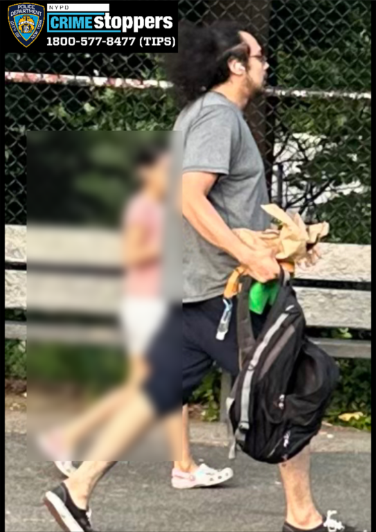 Man Assaulted and Knocked Out at New York City Playground