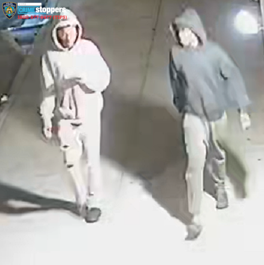 Elderly Man Robbed of Cellphone in Bronx