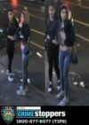 Man shot during robbery attempt in the bronx