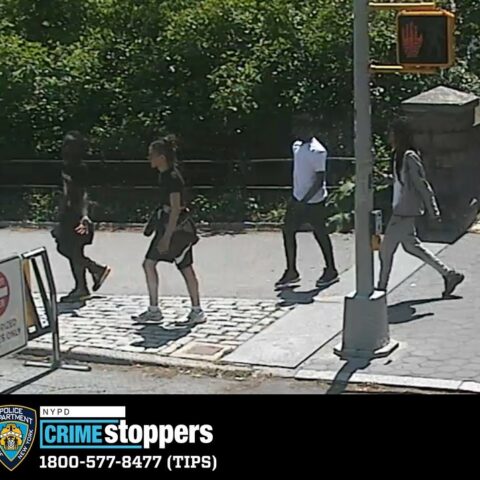 Scammers posing as basketball charity fundraiser scamming victims in central park - photo licensed by shore news network.