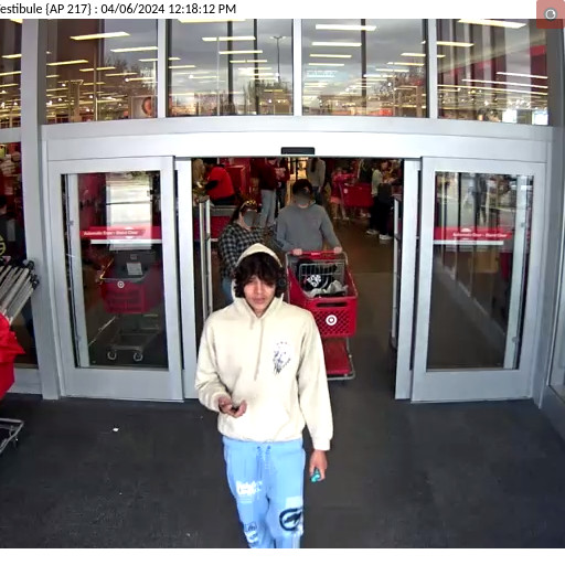 Bounce House Heist Thwarted at Local Target Store