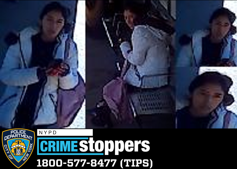 Cellphone Theft at Central Avenue Subway Station