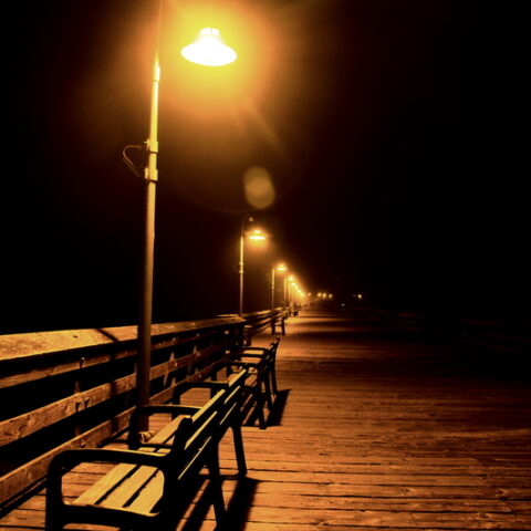 Phil murphy says jersey shore did not have chaotic memorial day weekend - photo licensed by shore news network.