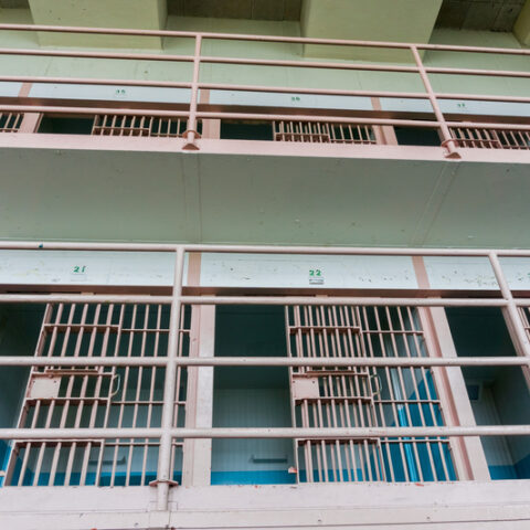 Nyc corrections officer arrested for assault in brooklyn - photo licensed by shore news network.