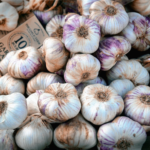 Denville welcomes summer with the first annual garlic festival - photo licensed by shore news network.