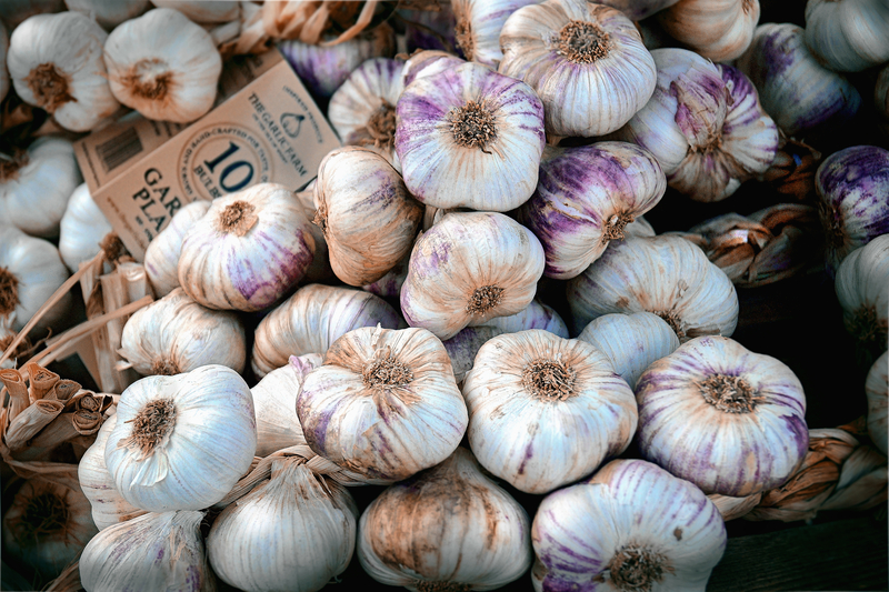 Denville Debuts First Annual Garlic Festival