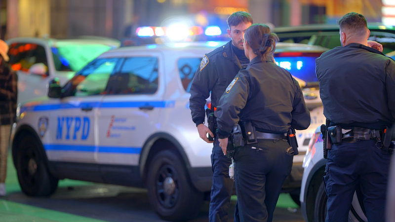 Bronx Rapist At Large, Sought by NYPD