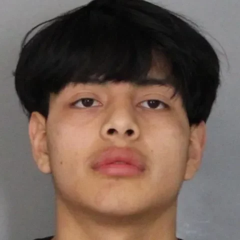 Newark police capture suspect in stolen kia after fleeing - photo licensed by shore news network.