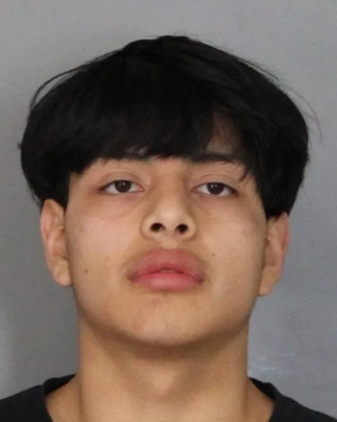 Newark Police Capture Suspect in Stolen KIA After Fleeing