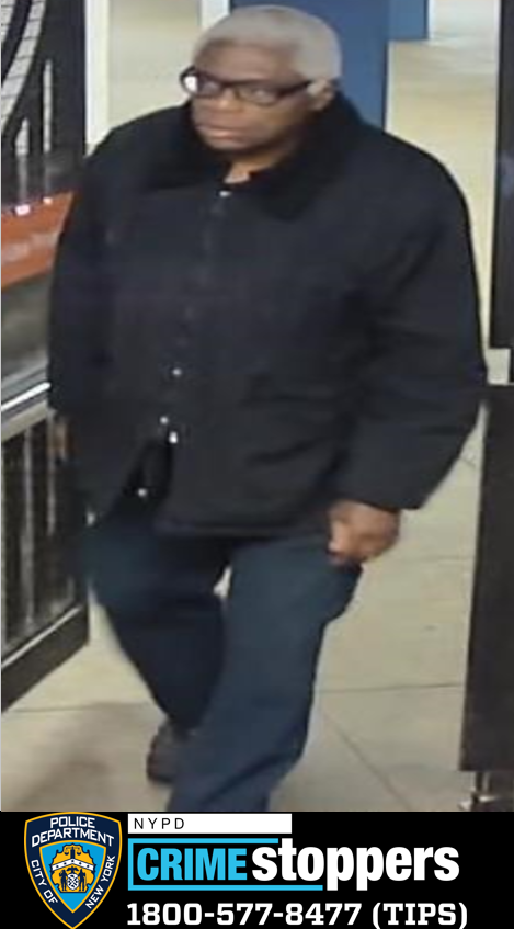 Public Indecency Incident on R-Line Subway Platform