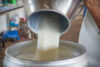 New jersey warns of raw milk dangers amid bird flu concerns