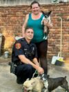 Suffolk county officer rescues dogs from house fire in rocky point