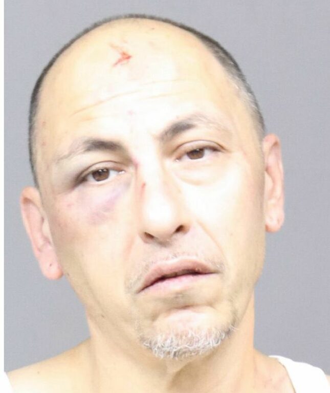 Fugitive Parolee Attacks Police Officers