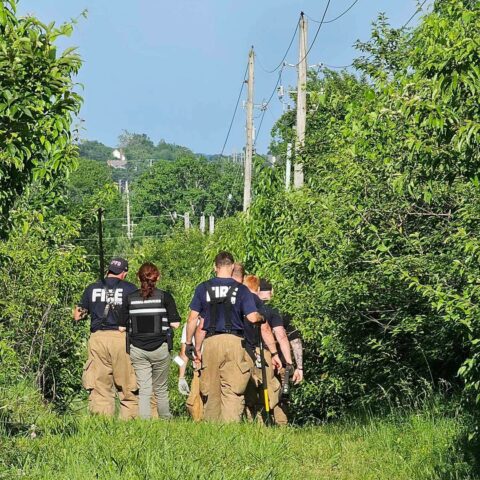 Alligator escapes petting zoo at missouri middle school - photo licensed by shore news network.