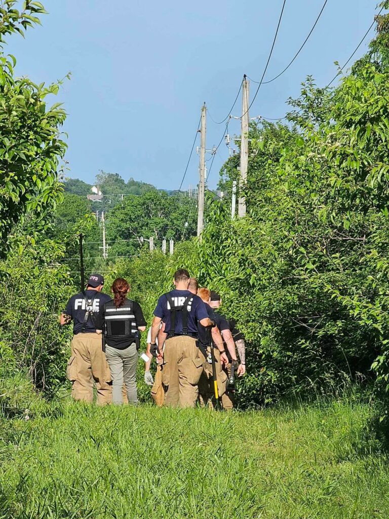 Alligator escapes petting zoo at missouri middle school - photo licensed by shore news network.
