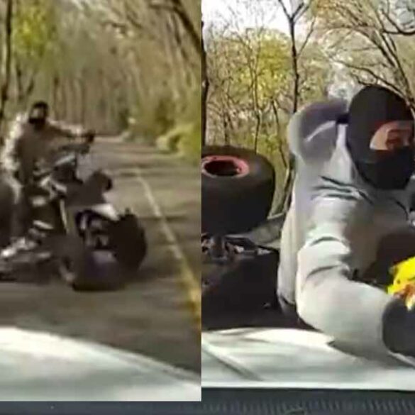 Watch: cop stops illegal atv rider from injuring families walking along park path - photo licensed by shore news network.