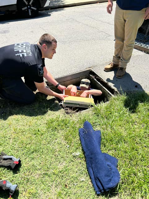 Mother Duck and Ducklings Rescued from Storm Drain